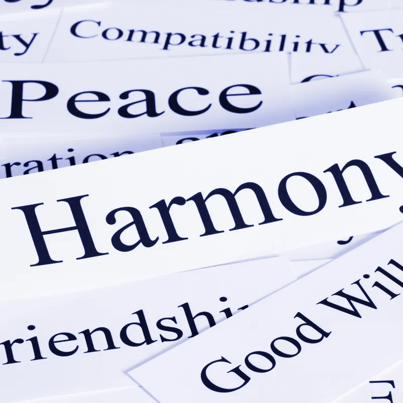 Wer Harmonie wählt, wählt informelle Macht