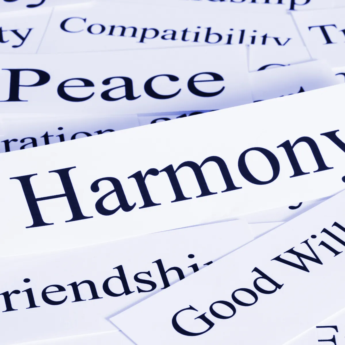 Wer Harmonie wählt, wählt informelle Macht